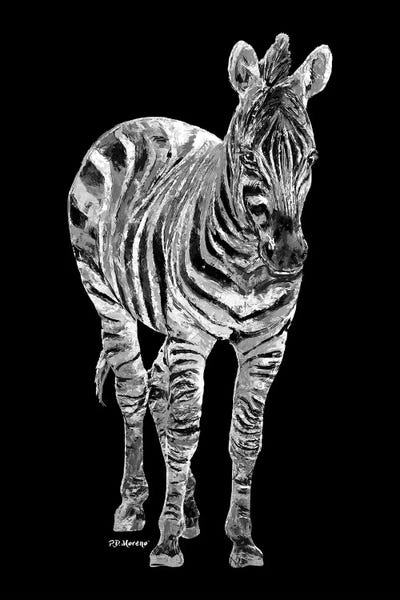 Zebras: Zebra In Black And White by P.D. Moreno