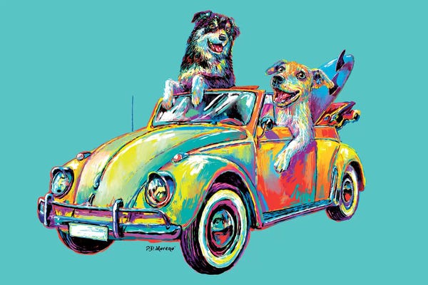 Couple Car In Aqua