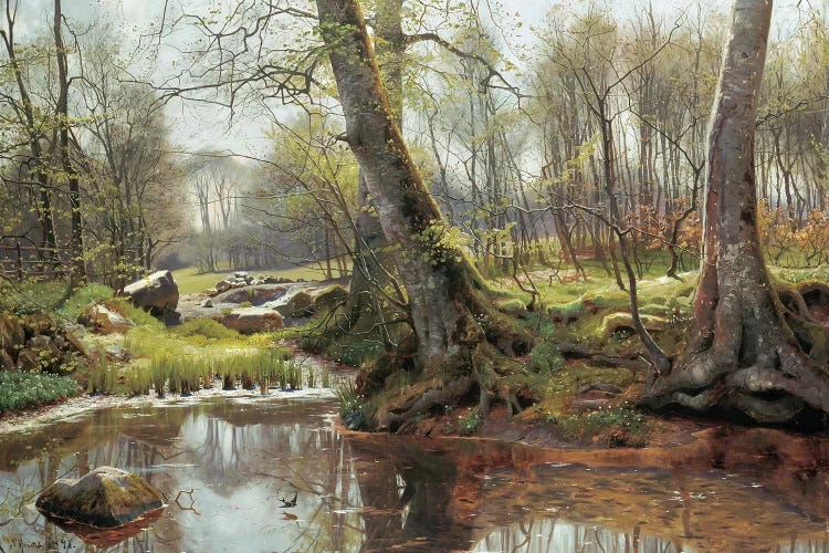 A Woodland Spring