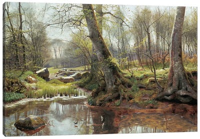 A Woodland Spring Canvas Art Print