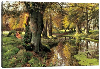 A Woodland Stream Canvas Art Print