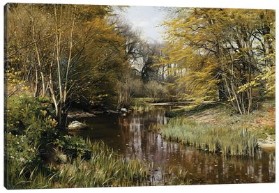 A Wooded River Landscape, 1909  Canvas Art Print