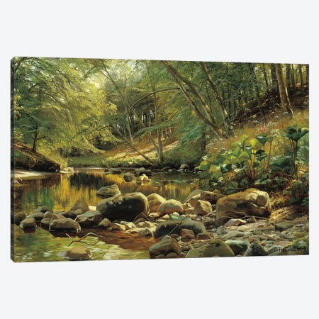 A Woodland River in Summer Canvas Print #PDR7} by Peder Monsted Canvas Art