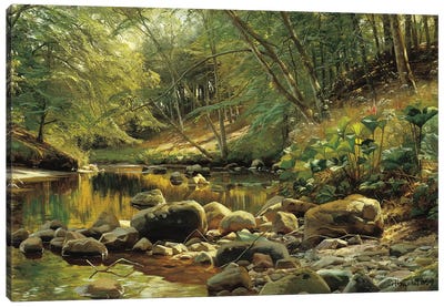 A Woodland River in Summer Canvas Art Print