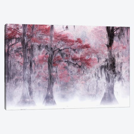 Foggy Fall Foliage At Caddo Lake Canvas Print #PDT1} by Leechee Art Print