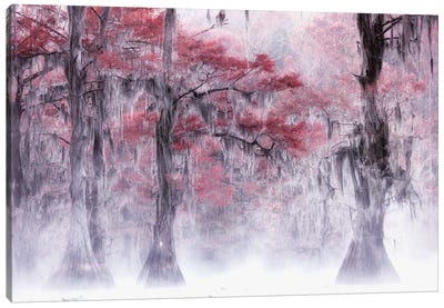 Foggy Fall Foliage At Caddo Lake Canvas Art Print - 1x Floral and Botanicals
