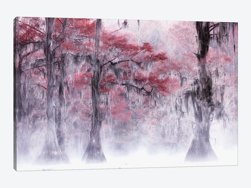 Foggy Fall Foliage At Caddo Lake by Leechee 1-piece Canvas Art Print