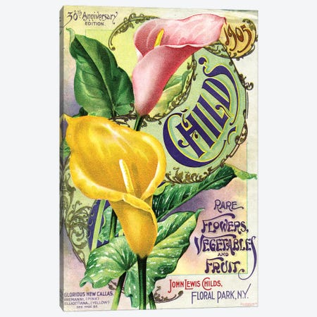 Rare Flowers Seed Catalog, from the Andersen Horticultural Library Canvas Print #PDX105} by Piddix Canvas Artwork