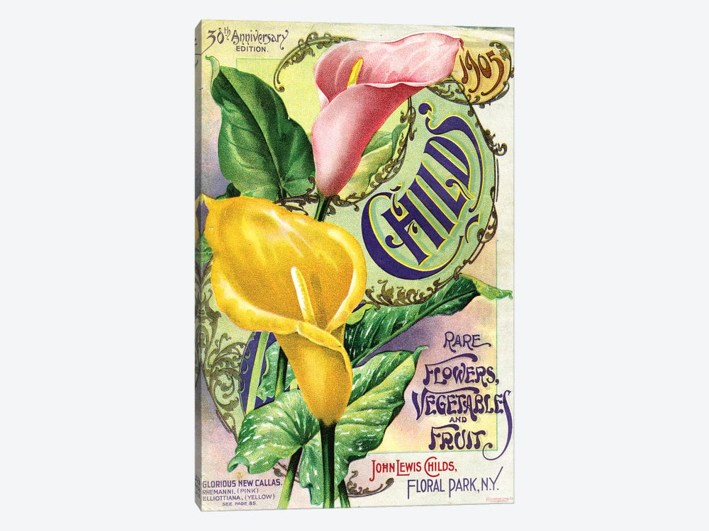 Rare Flowers Seed Catalog, from the Andersen Horticultural Library by Piddix 1-piece Canvas Artwork