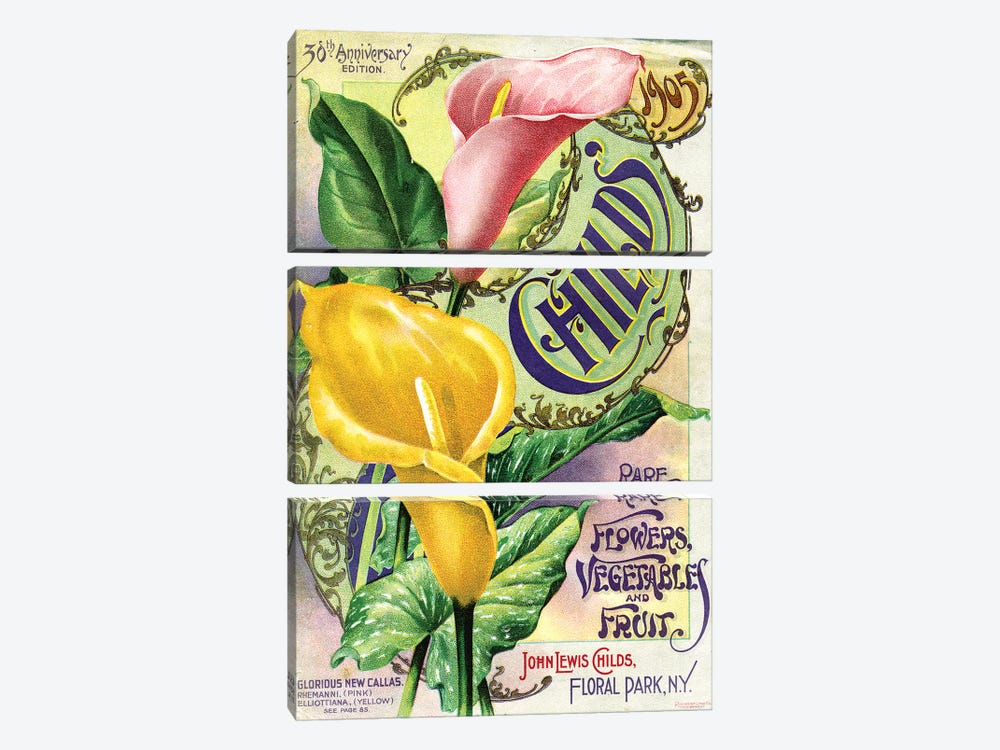 Rare Flowers Seed Catalog, from the Andersen Horticultural Library by Piddix 3-piece Canvas Art