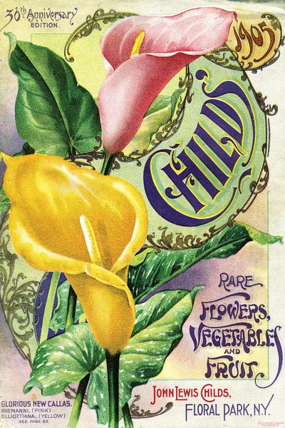 Gardening: Rare Flowers Seed Catalog, from the Andersen Horticultural Library by Piddix