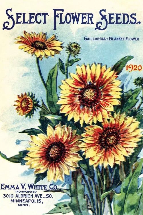 Select Flower Seeds, 1920, from the Andersen Horticultural Library