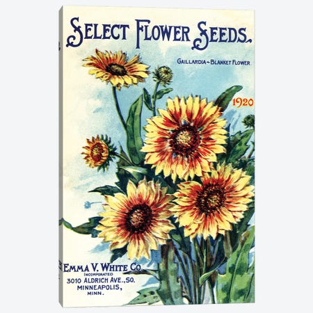 Select Flower Seeds, 1920, from the Andersen Horticultural Library Canvas Print #PDX112} by Piddix Canvas Art
