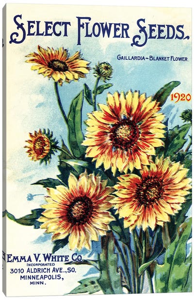 Select Flower Seeds, 1920, from the Andersen Horticultural Library Canvas Art Print - Retro Redux