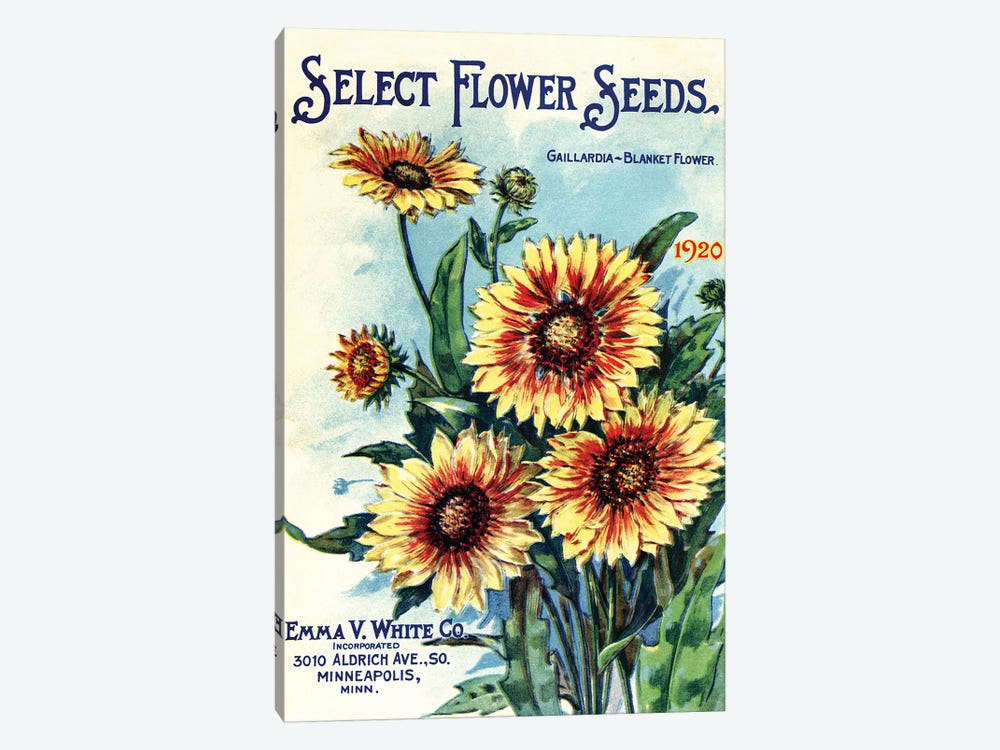 Select Flower Seeds, 1920, from the Andersen Horticultural Library by Piddix 1-piece Canvas Artwork