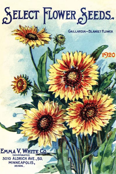 Gardening: Select Flower Seeds, 1920, from the Andersen Horticultural Library by Piddix