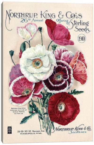 Sterling Seeds, 1910, from the Andersen Horticultural Library Canvas Art Print - Piddix