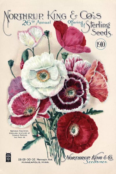Gardening: Sterling Seeds, 1910, from the Andersen Horticultural Library by Piddix