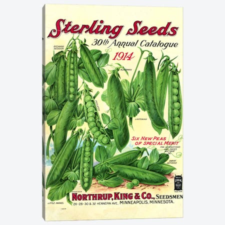Sterling Seeds, 1914, from the Andersen Horticultural Library Canvas Print #PDX122} by Piddix Canvas Art Print