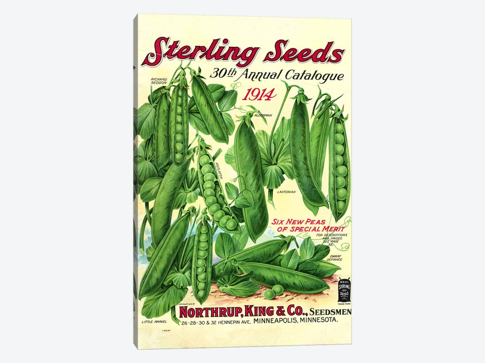 Sterling Seeds, 1914, from the Andersen Horticultural Library by Piddix 1-piece Canvas Art Print