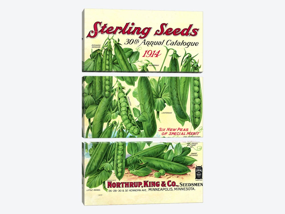 Sterling Seeds, 1914, from the Andersen Horticultural Library by Piddix 3-piece Art Print