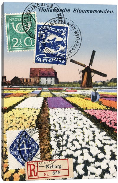 Tulips and Windmills, Dutch Vintage Postcard Collage Canvas Art Print - Retro Redux