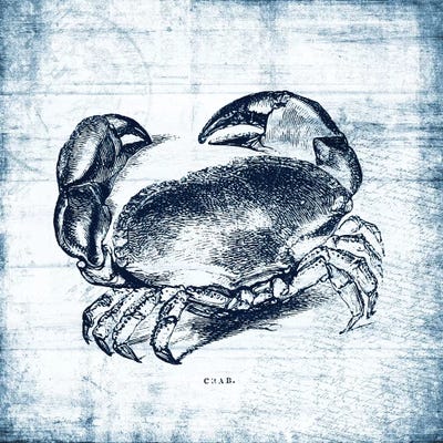 Wooden Crab by Piddix metal wall art