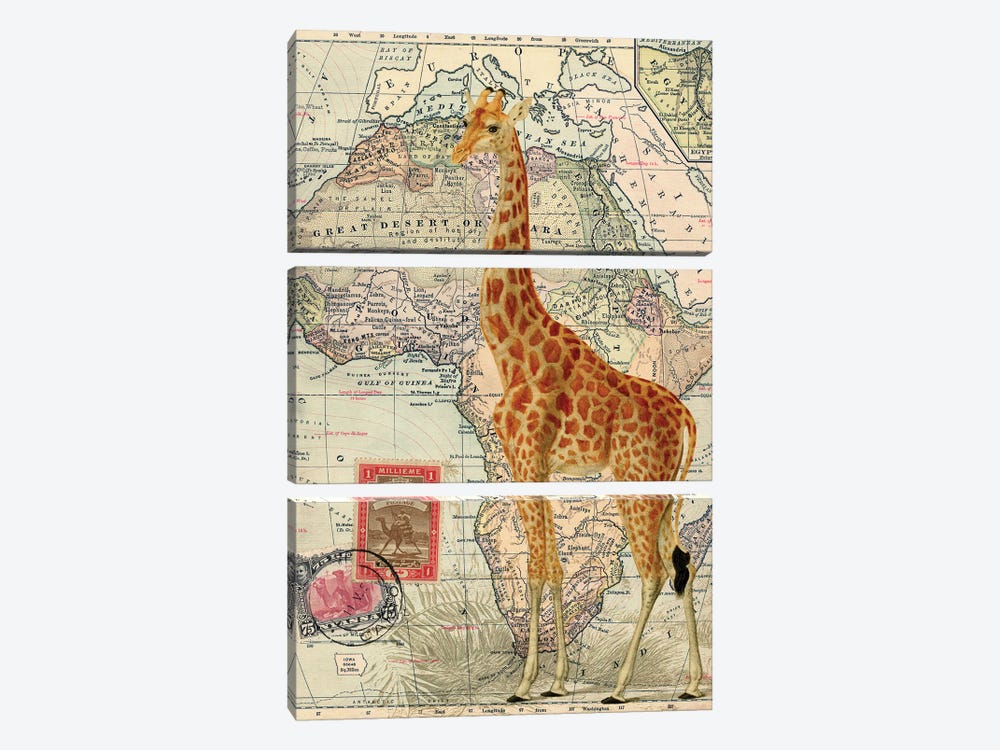 Giraffe by Piddix 3-piece Canvas Print