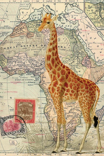 Vintage & Retro: Giraffe by Piddix