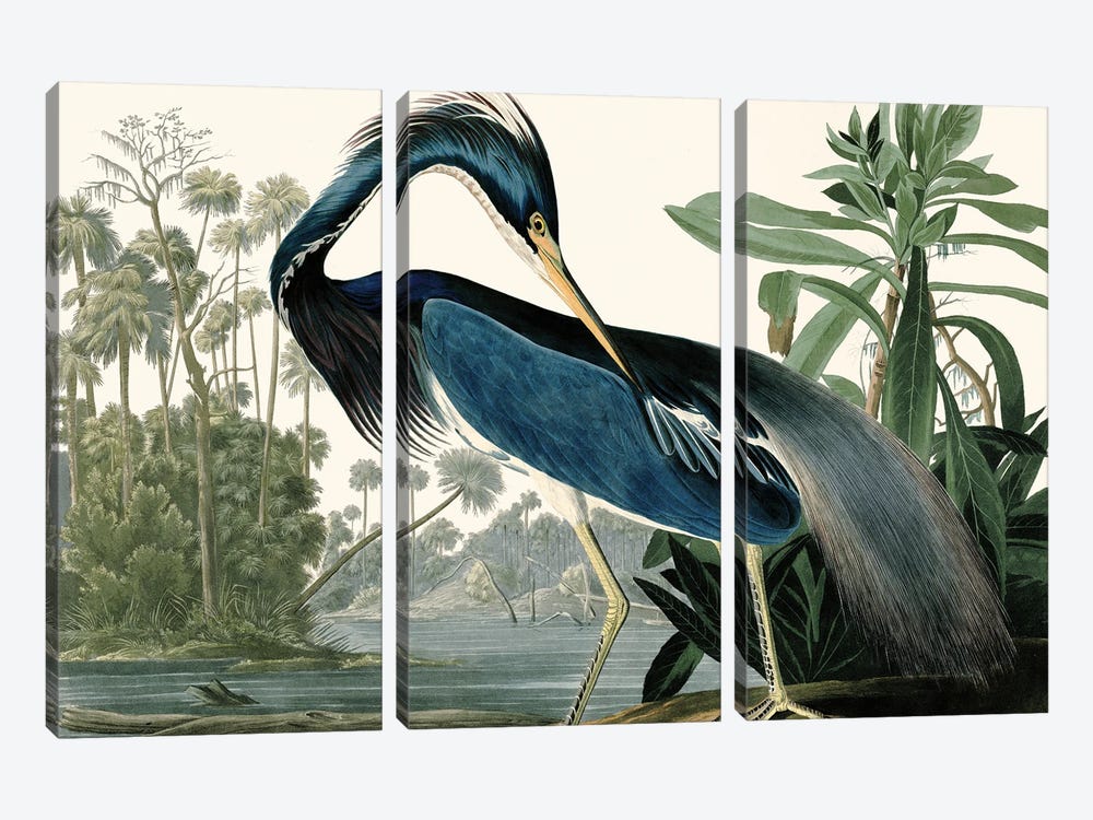 Louisana Heron by Piddix 3-piece Art Print