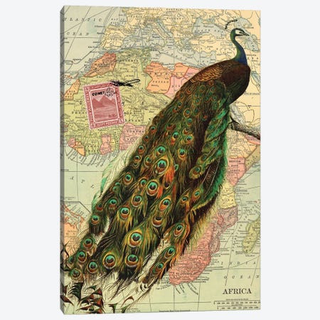 Peacock Canvas Print #PDX159} by Piddix Canvas Wall Art