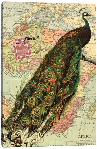 Peacock Canvas Art Print - Piddix