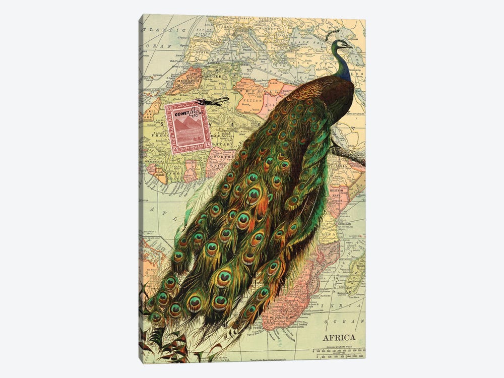 Peacock by Piddix 1-piece Art Print