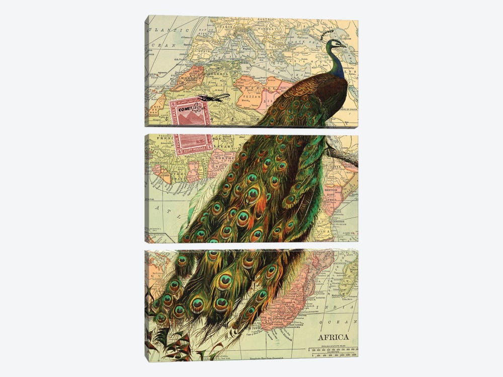Peacock by Piddix 3-piece Canvas Print