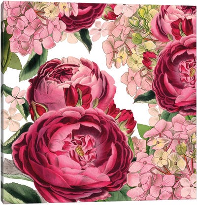 Roses Canvas Art Print - French Country Décor
