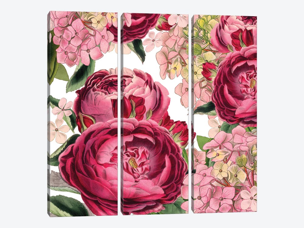 Roses by Piddix 3-piece Canvas Art