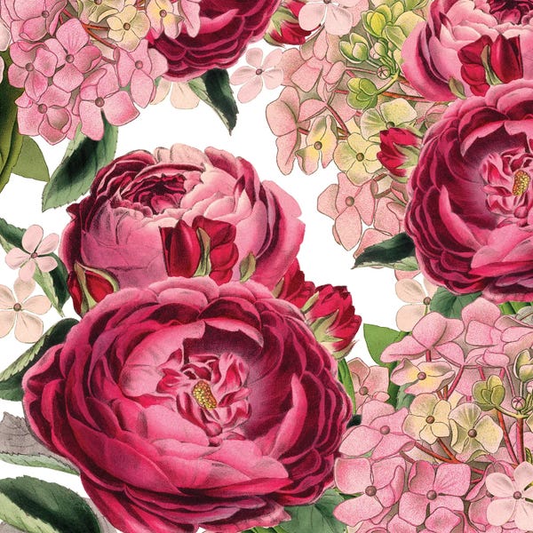 French Country Décor: Roses by Piddix