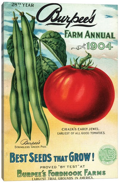 1904 Seed Catalog from the Andersen Horticultural Library Canvas Art Print - Piddix