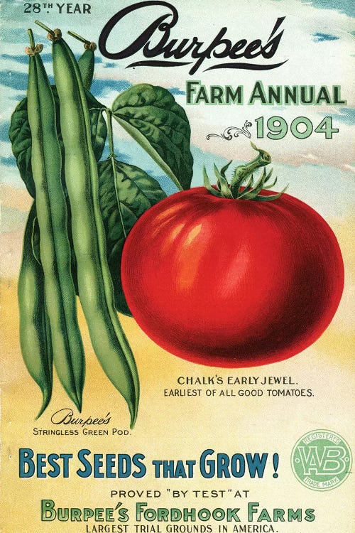 1904 Seed Catalog from the Andersen Horticultural Library by Piddix wall art