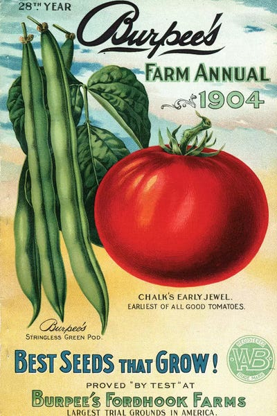 Piddix: 1904 Seed Catalog from the Andersen Horticultural Library by Piddix