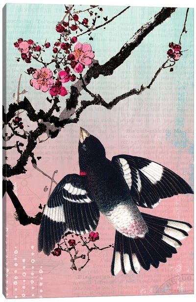 Bird and Blossoms Canvas Art Print - Piddix