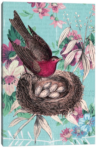 Bird Nest Collage Canvas Art Print - Piddix
