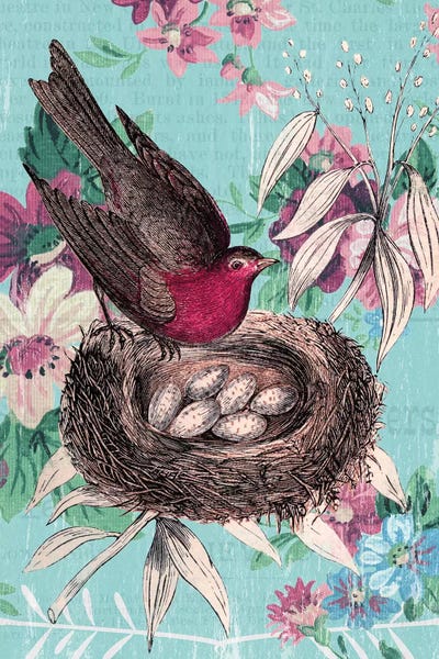Granny Chic: Bird Nest Collage by Piddix