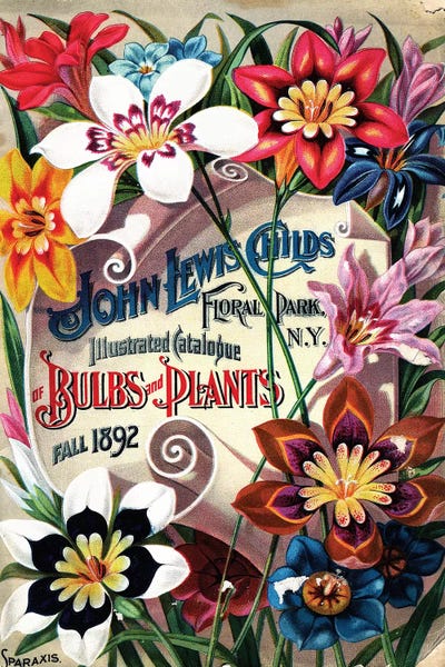 Gardening: Bulbs and Plants, 1892, from the Andersen Horticultural Library by Piddix