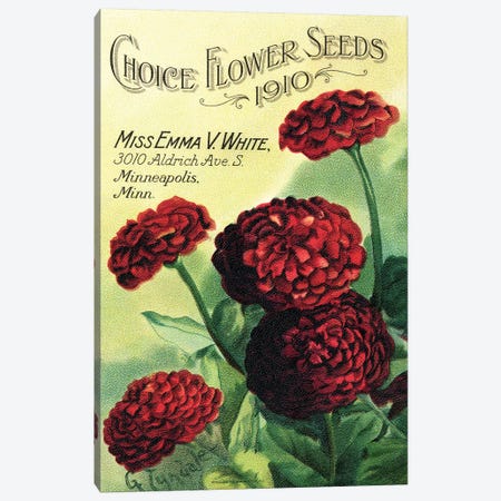 Choice Flower Seeds, 1910, from the Andersen Horticultural Library Canvas Print #PDX43} by Piddix Canvas Art