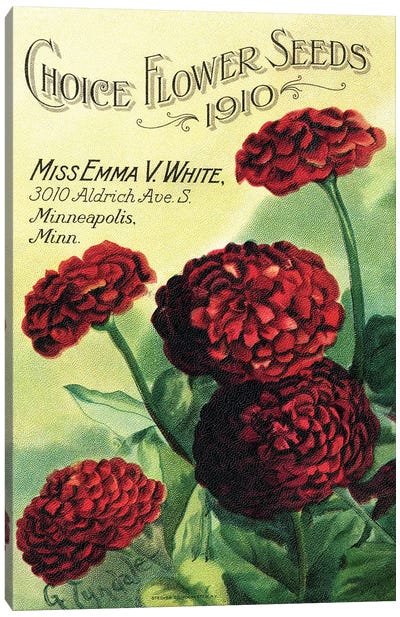Choice Flower Seeds, 1910, from the Andersen Horticultural Library Canvas Art Print - Piddix