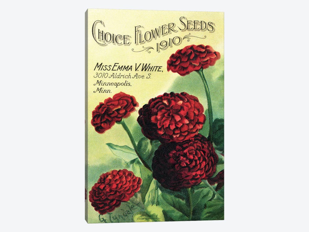 Choice Flower Seeds, 1910, from the Andersen Horticultural Library by Piddix 1-piece Art Print