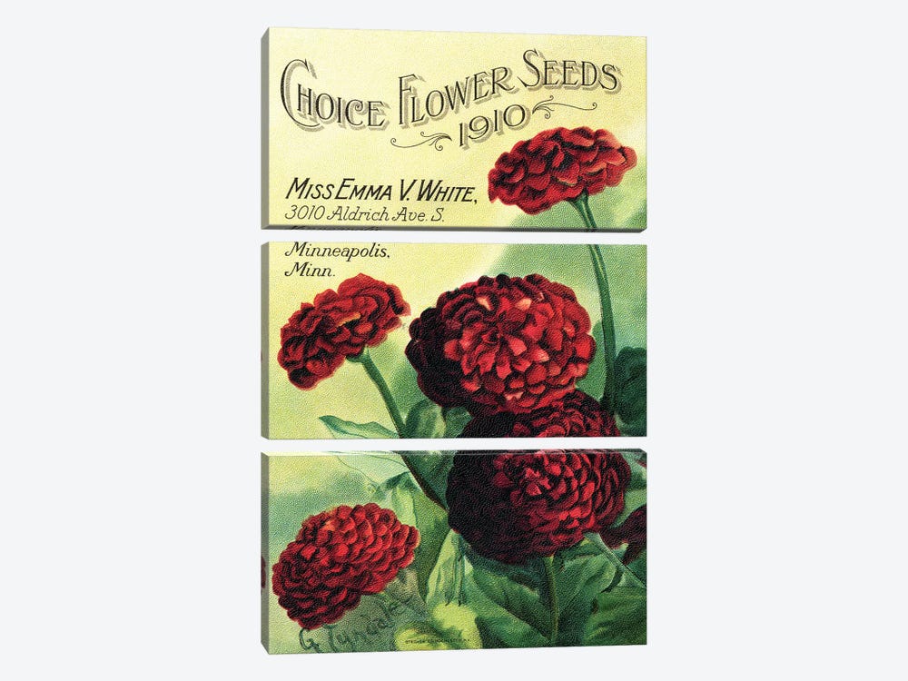 Choice Flower Seeds, 1910, from the Andersen Horticultural Library by Piddix 3-piece Art Print