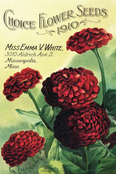 Gardening: Choice Flower Seeds, 1910, from the Andersen Horticultural Library by Piddix