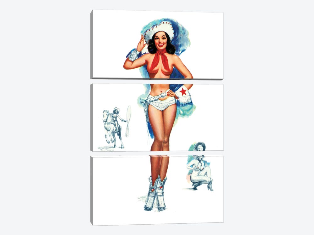 Cowgirl Pin-Up by T. N. Thompson by Piddix 3-piece Canvas Art